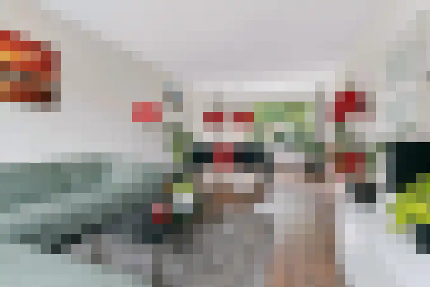 Donauring 10 Veghel thumbnail 7
