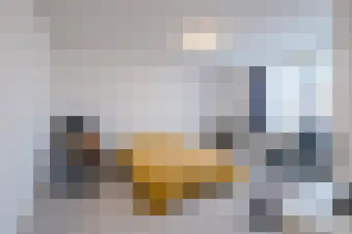 Donauring 115 Veghel thumbnail 17