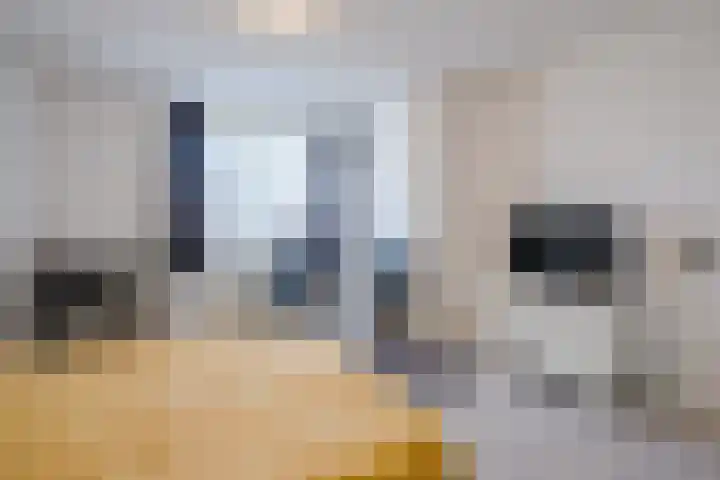 Donauring 115 Veghel thumbnail 18