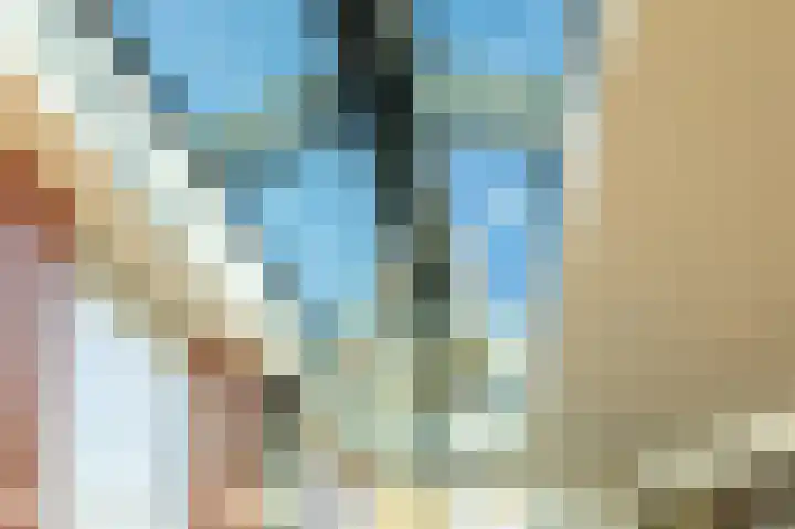 Donauring 202 Drunen thumbnail 15