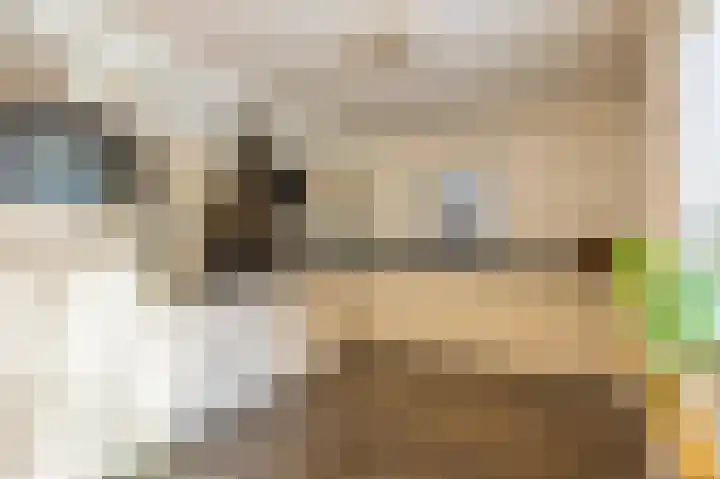 Donauring 202 Drunen thumbnail 17