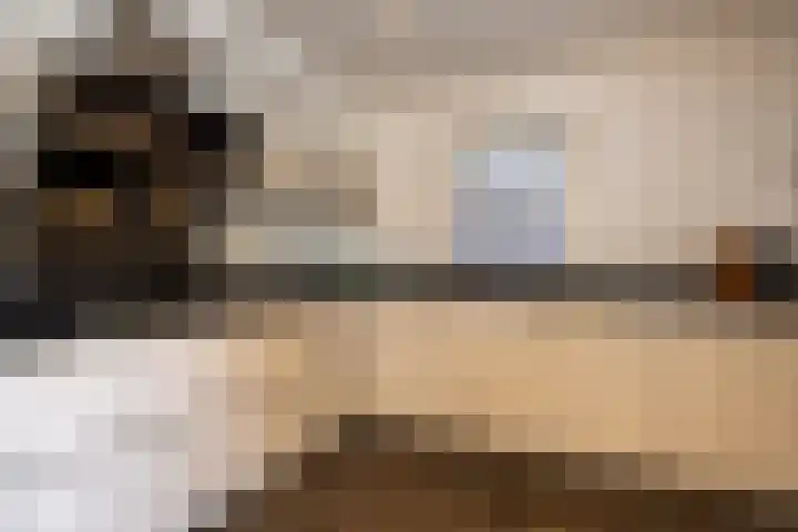 Donauring 202 Drunen thumbnail 18