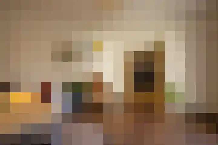 Donauring 202 Drunen thumbnail 20