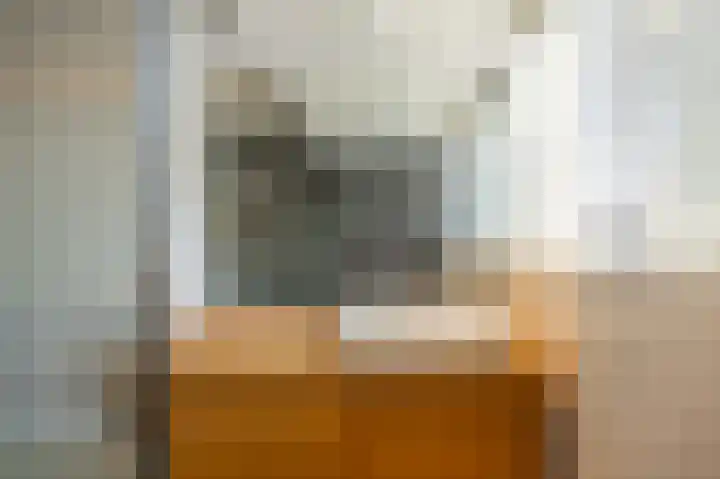Donauring 202 Drunen thumbnail 30