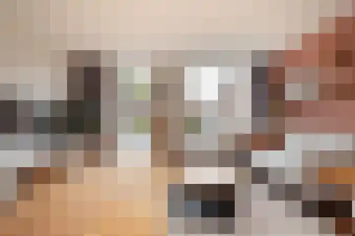 Donauring 225 Drunen thumbnail 13