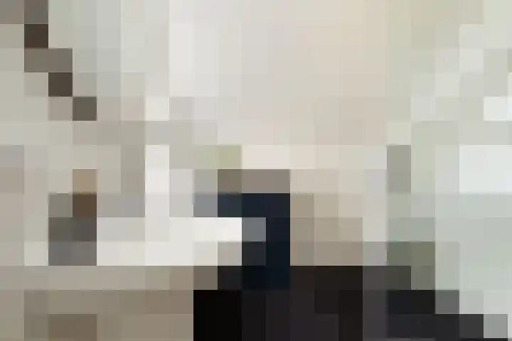 Donauring 225 Drunen thumbnail 28