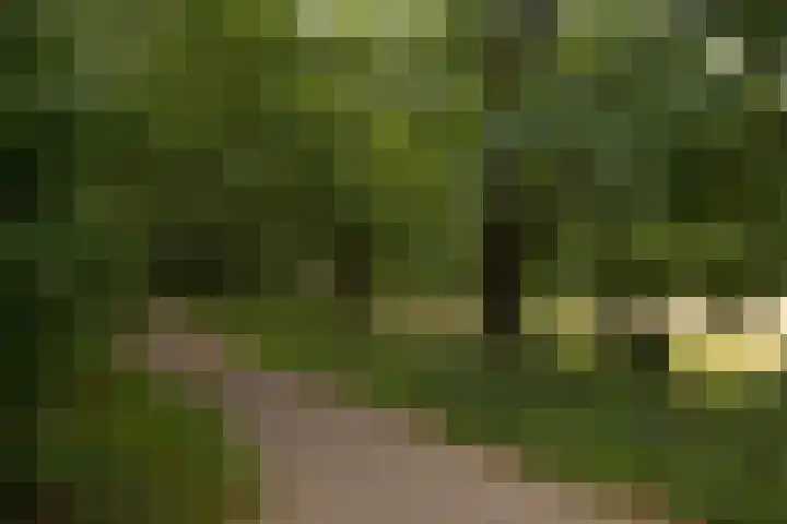 Donauring 225 Drunen thumbnail 35