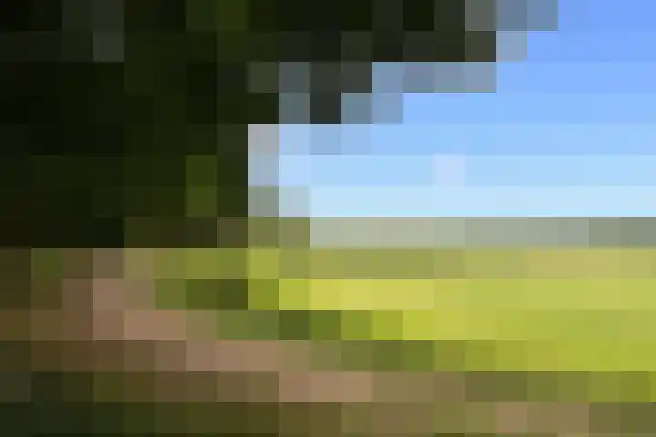 Donauring 225 Drunen thumbnail 36