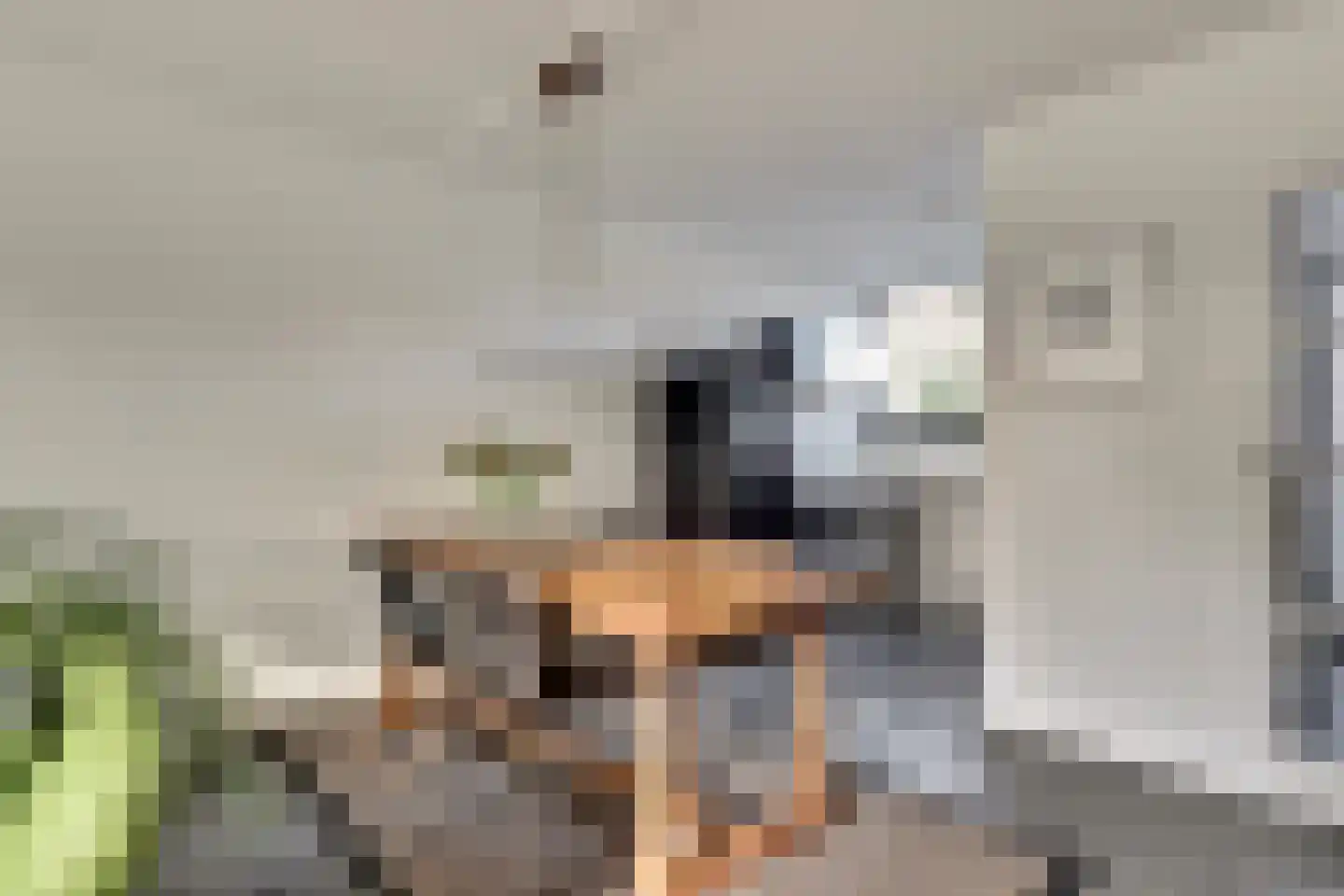 Donauring 243 Drunen thumbnail 10