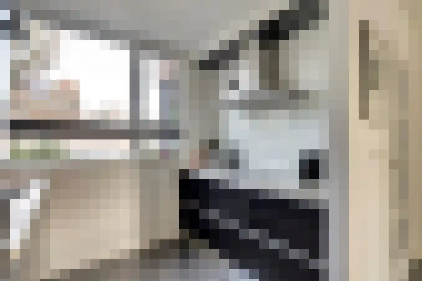 Donauring 243 Drunen thumbnail 13