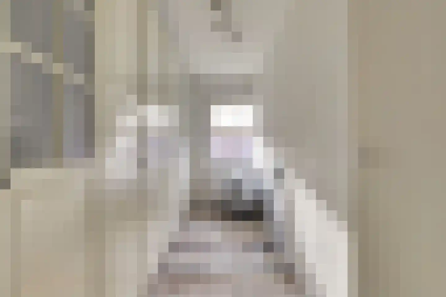 Donauring 243 Drunen thumbnail 23