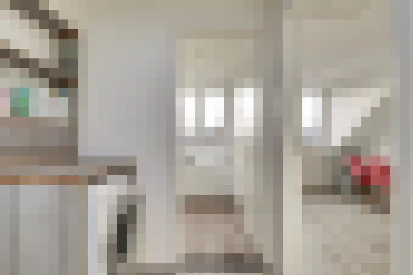 Donauring 243 Drunen thumbnail 27