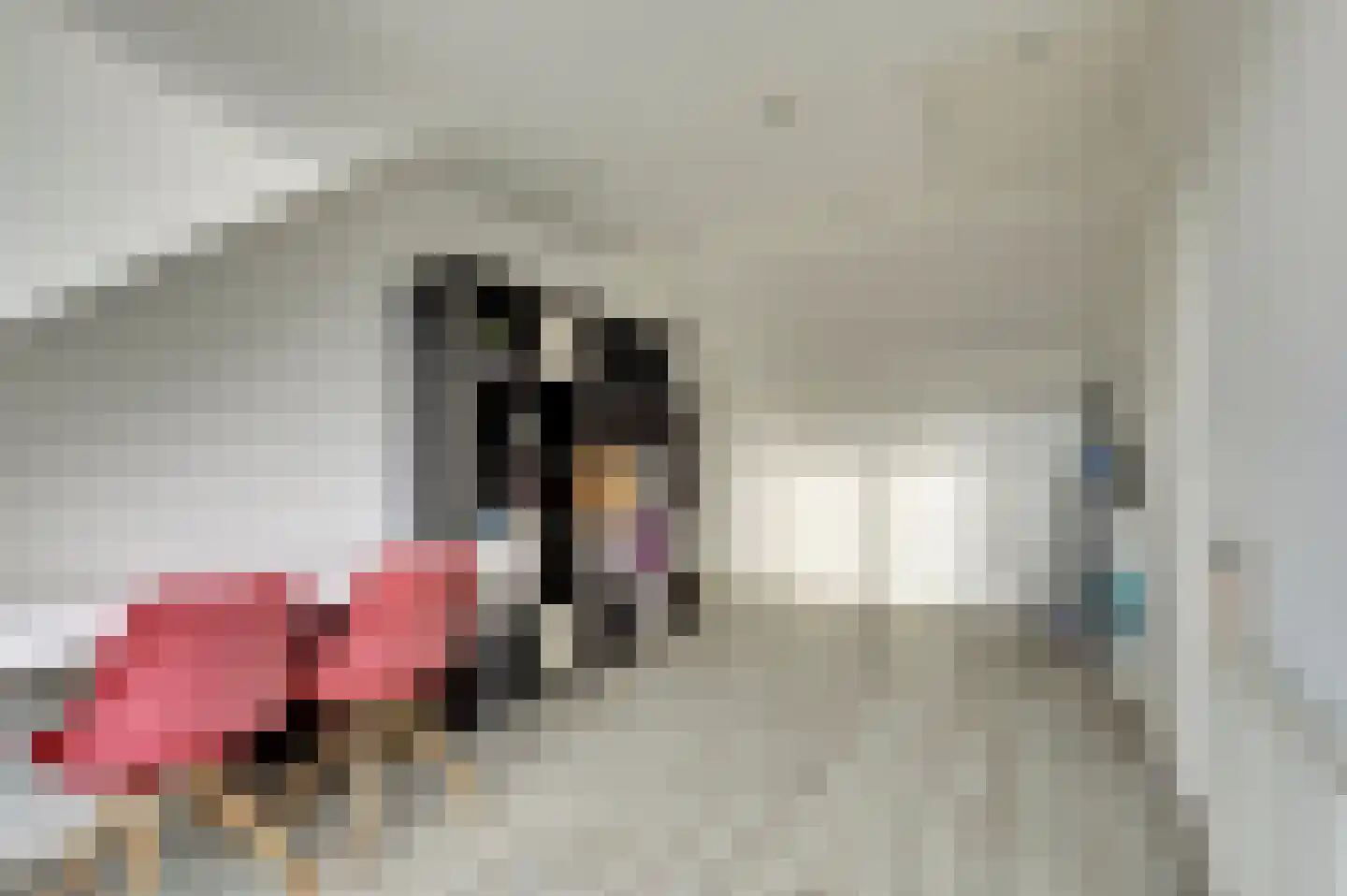 Donauring 243 Drunen thumbnail 30