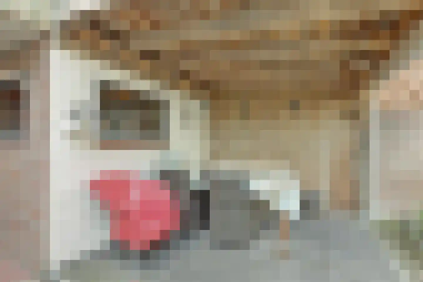 Donauring 243 Drunen thumbnail 32