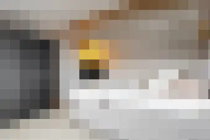 Donauring 59 Veghel thumbnail 30