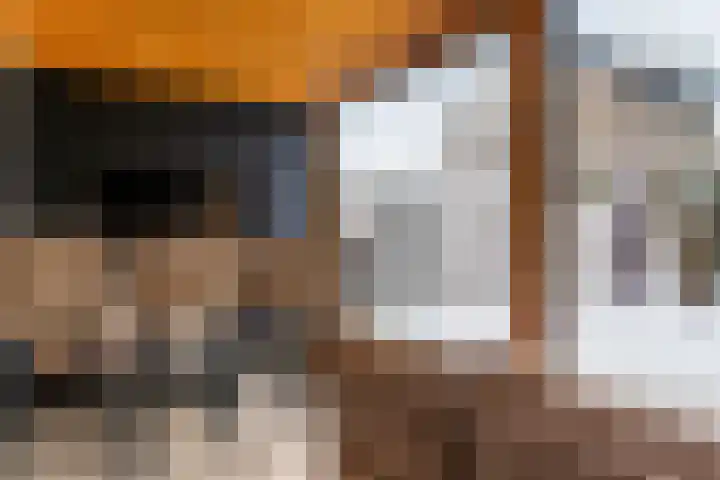 Donauring 59 Veghel thumbnail 31