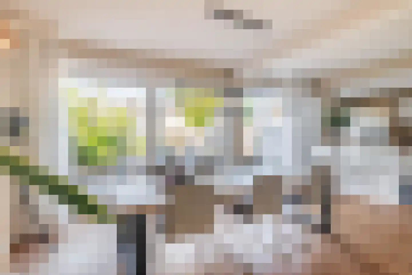 Donauring 63 Veghel thumbnail 7