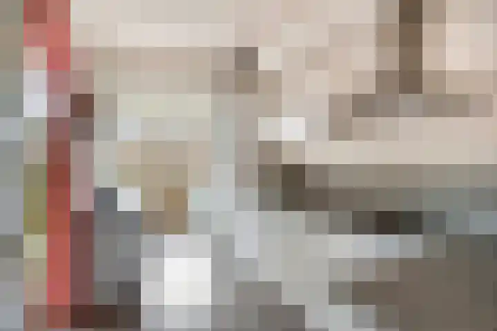 Donauring 83 Veghel thumbnail 10