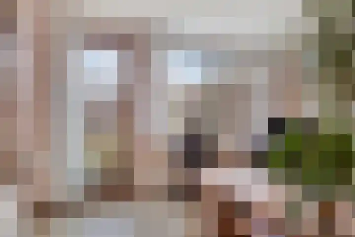 Donauring 83 Veghel thumbnail 12