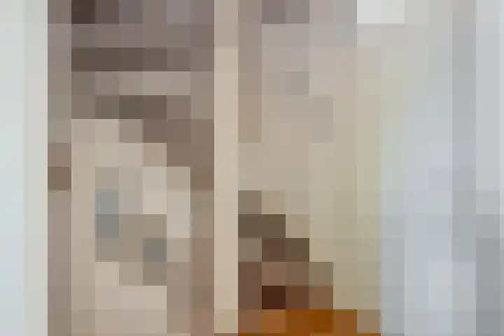Donauring 83 Veghel thumbnail 13