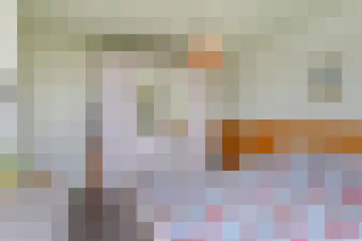 Donauring 83 Veghel thumbnail 15