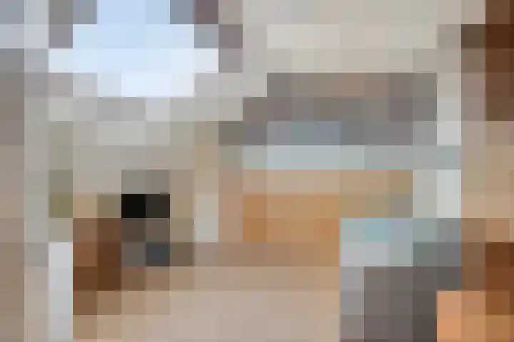 Donauring 83 Veghel thumbnail 22