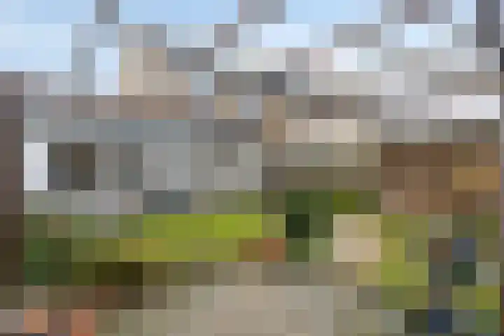Donauring 83 Veghel thumbnail 25
