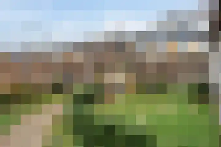 Donauring 83 Veghel thumbnail 26