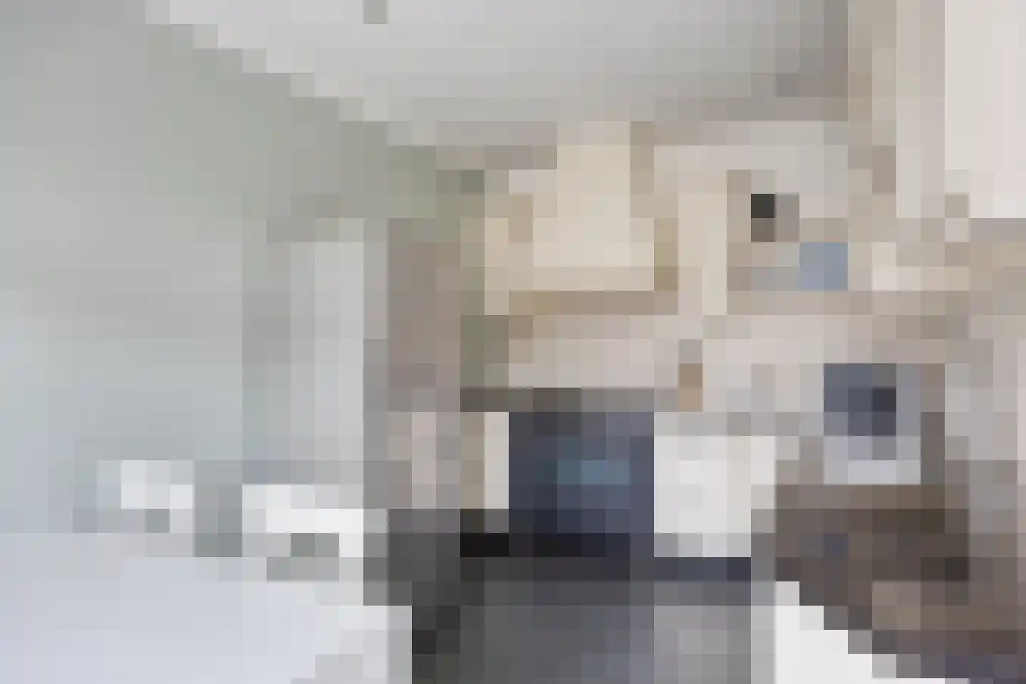 Donauring 99 Veghel thumbnail 17