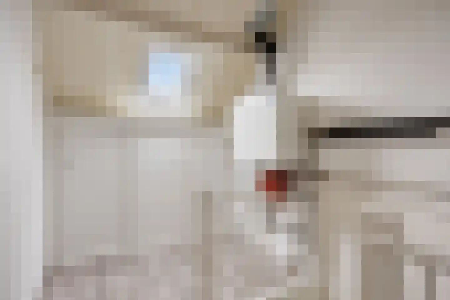 Donauring 99 Veghel thumbnail 28