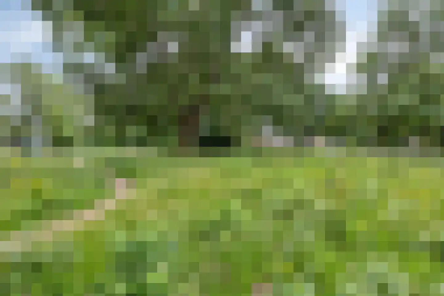 Donauring 99 Veghel thumbnail 37