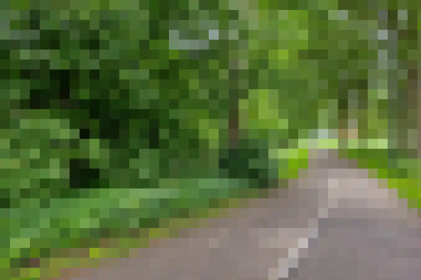 Donauring 99 Veghel thumbnail 38