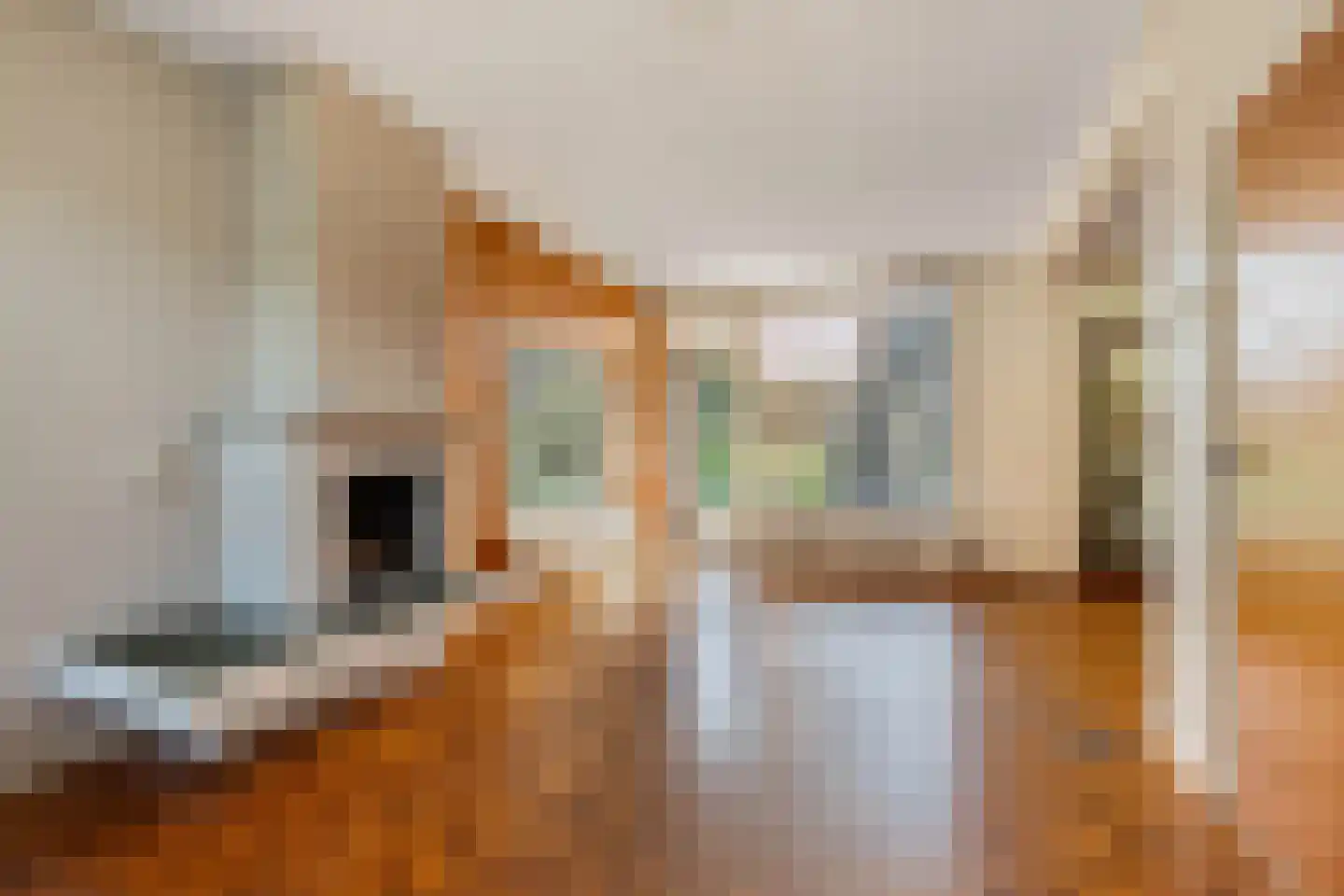 Donaustraat 10 Emmeloord thumbnail 14