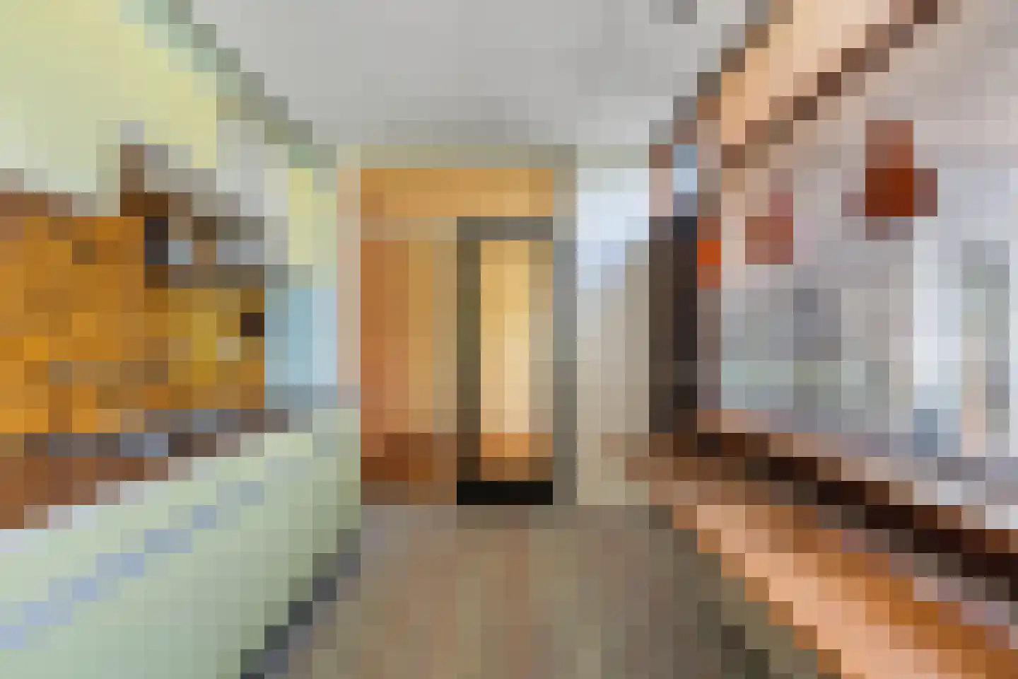 Donaustraat 10 Emmeloord thumbnail 21