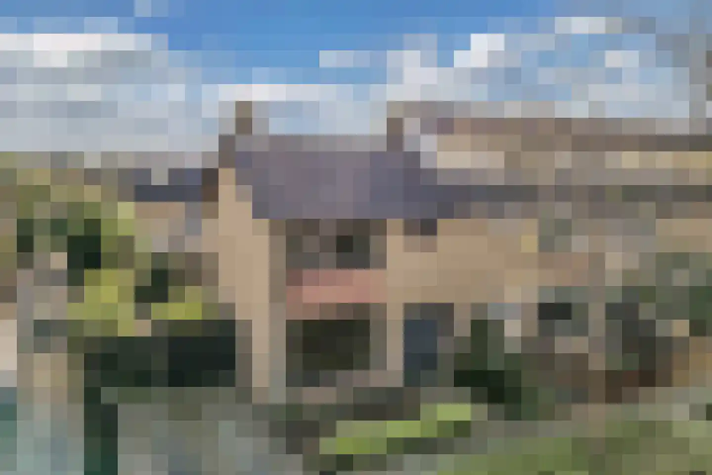 Donaustraat 10 Emmeloord thumbnail 4