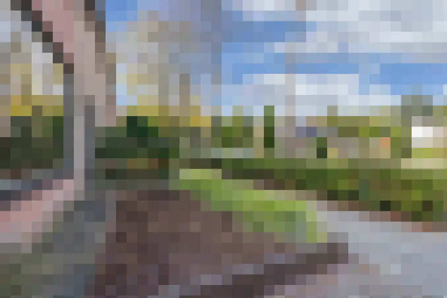 Donaustraat 10 Emmeloord thumbnail 6
