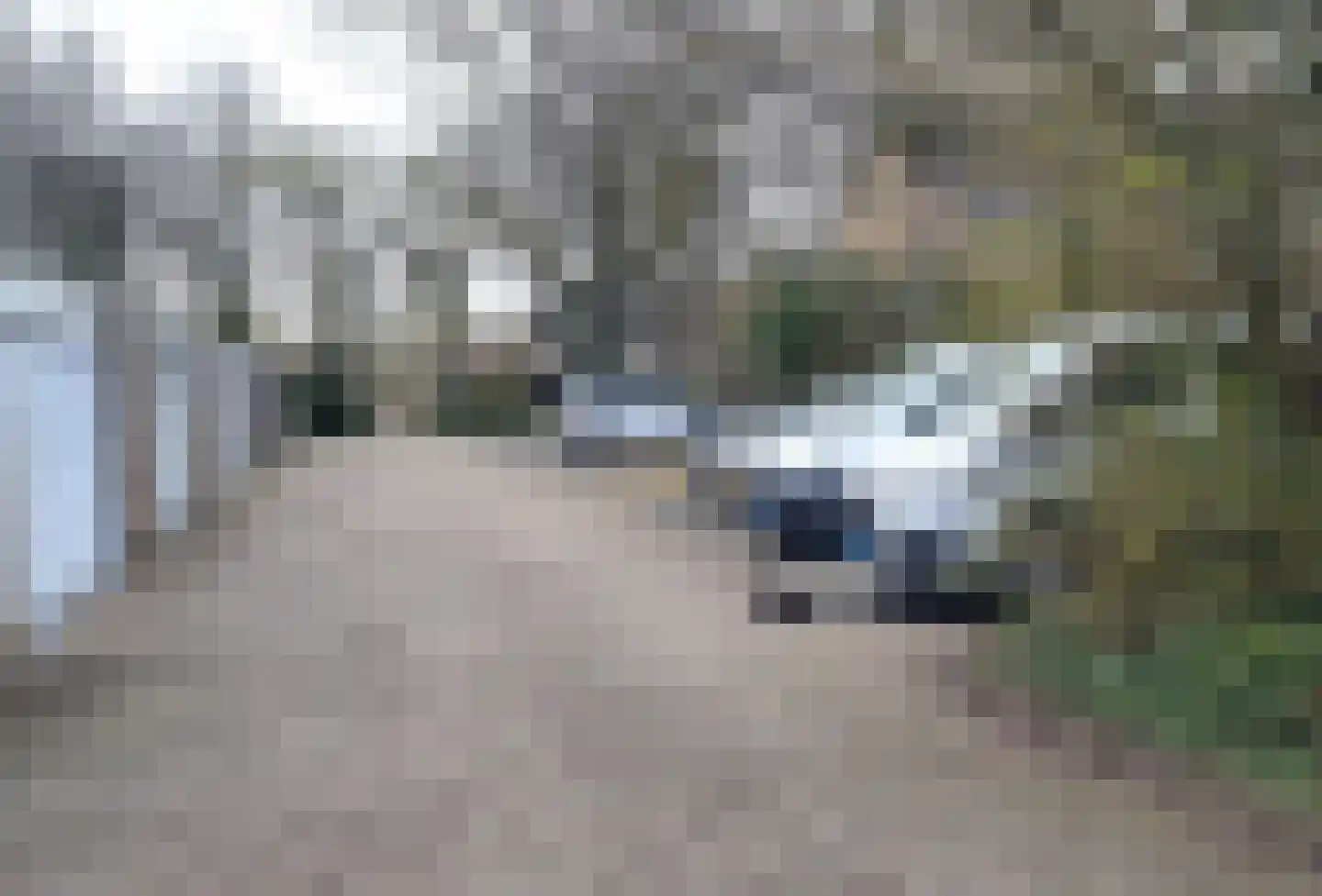 Donaustraat 127 Assen thumbnail 17