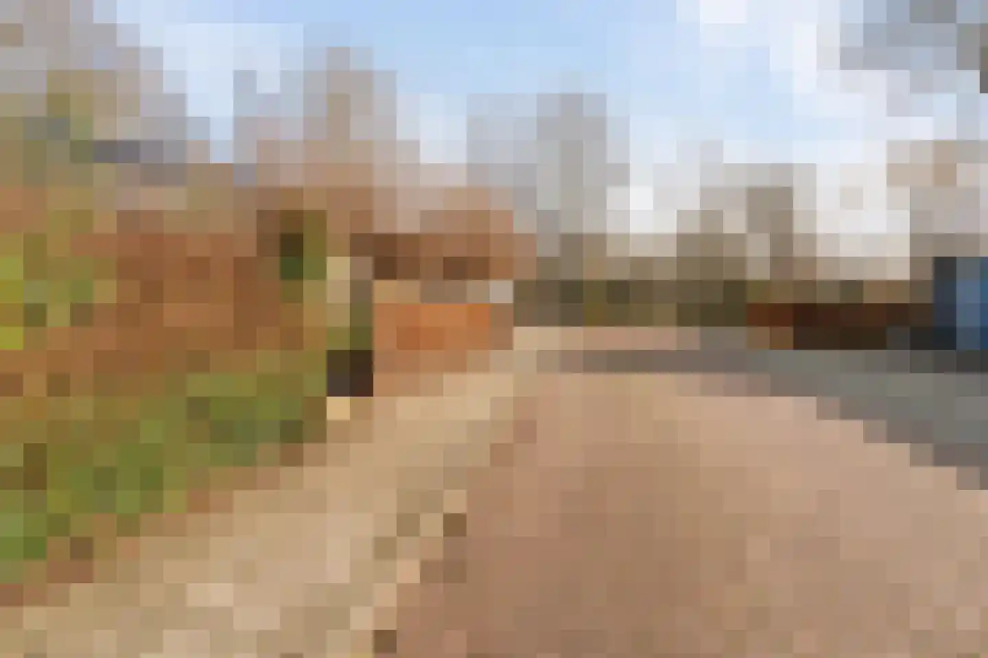 Donaustraat 19 Emmeloord thumbnail 11