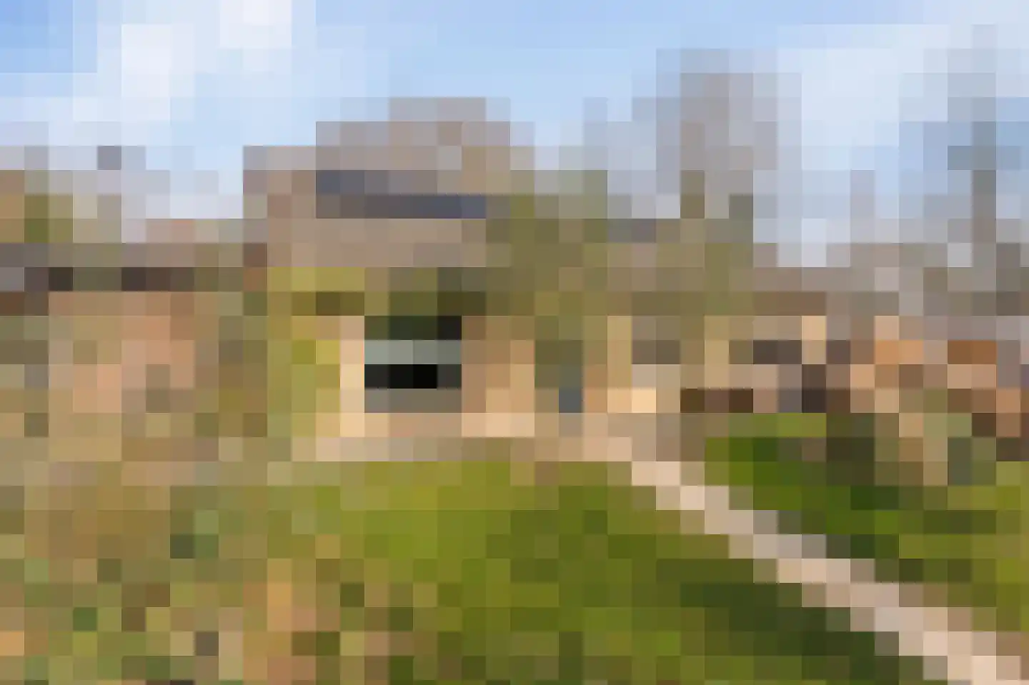 Donaustraat 19 Emmeloord thumbnail 12