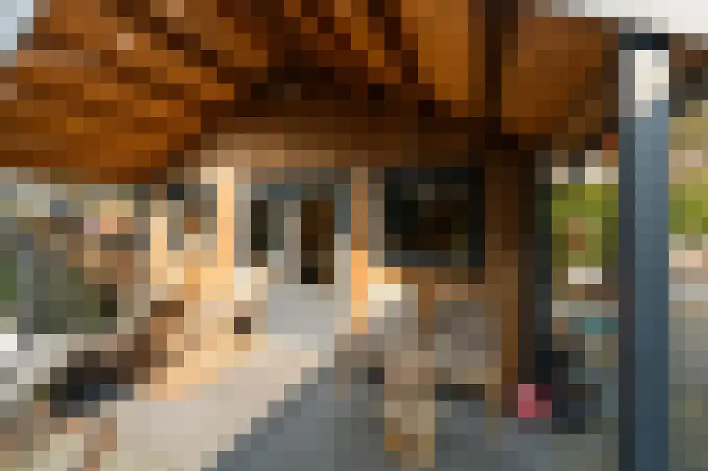 Donaustraat 19 Emmeloord thumbnail 15