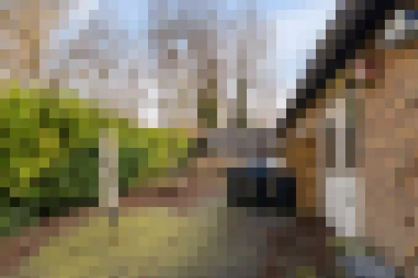 Donaustraat 19 Emmeloord thumbnail 18