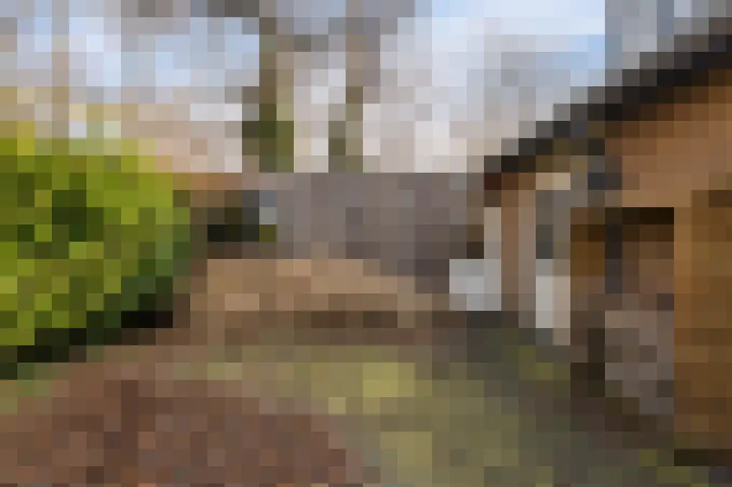 Donaustraat 19 Emmeloord thumbnail 20