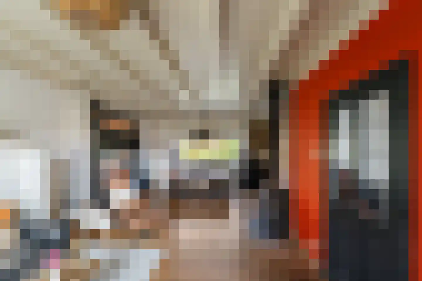 Donaustraat 19 Emmeloord thumbnail 25