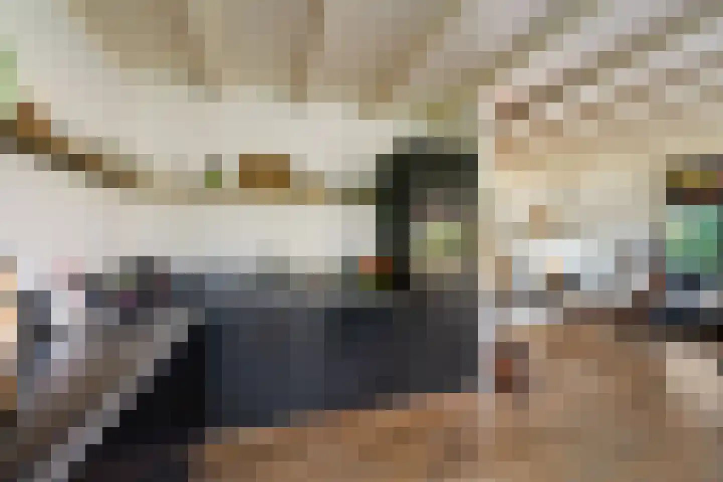 Donaustraat 19 Emmeloord thumbnail 29