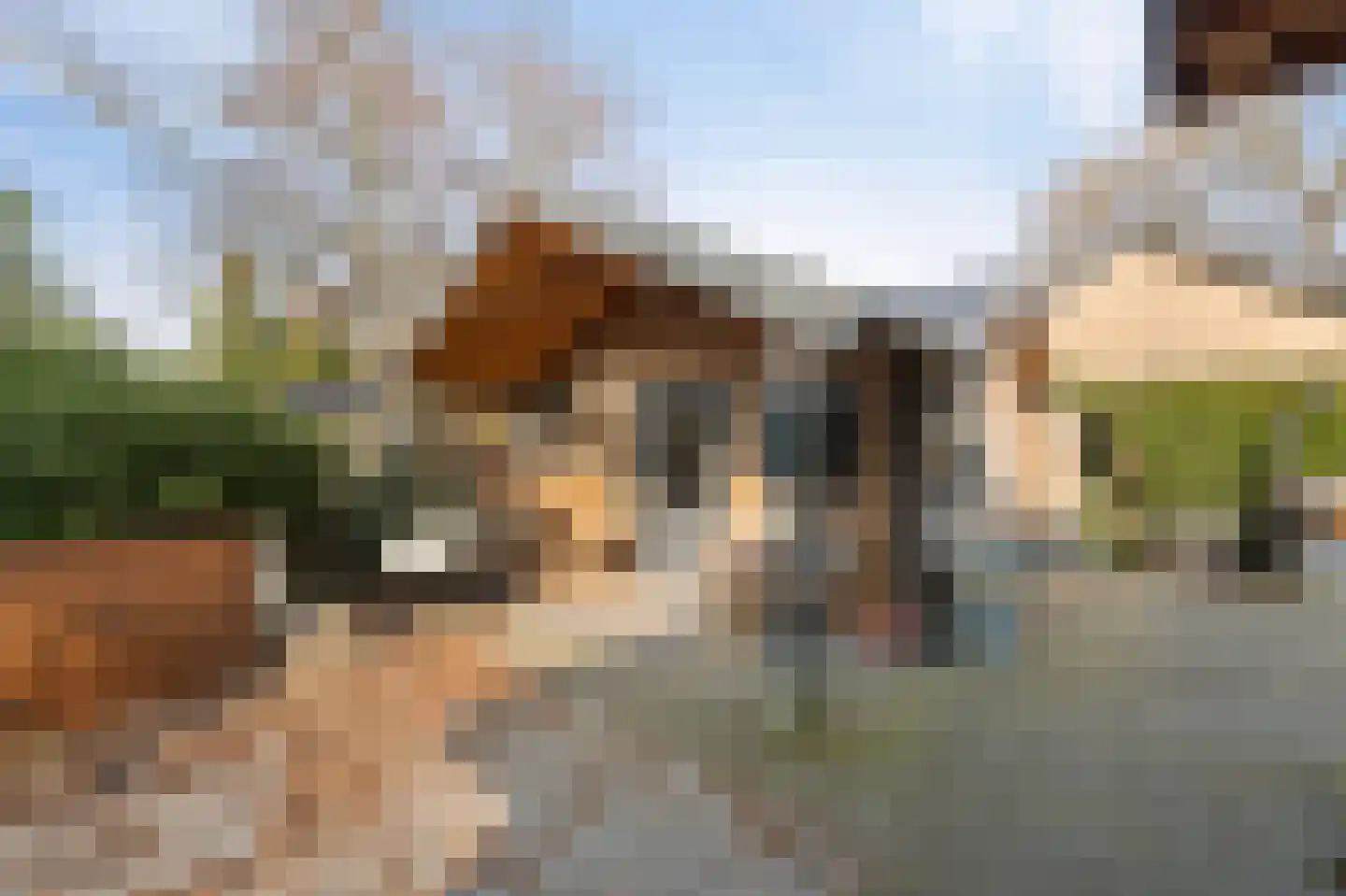 Donaustraat 19 Emmeloord thumbnail 35