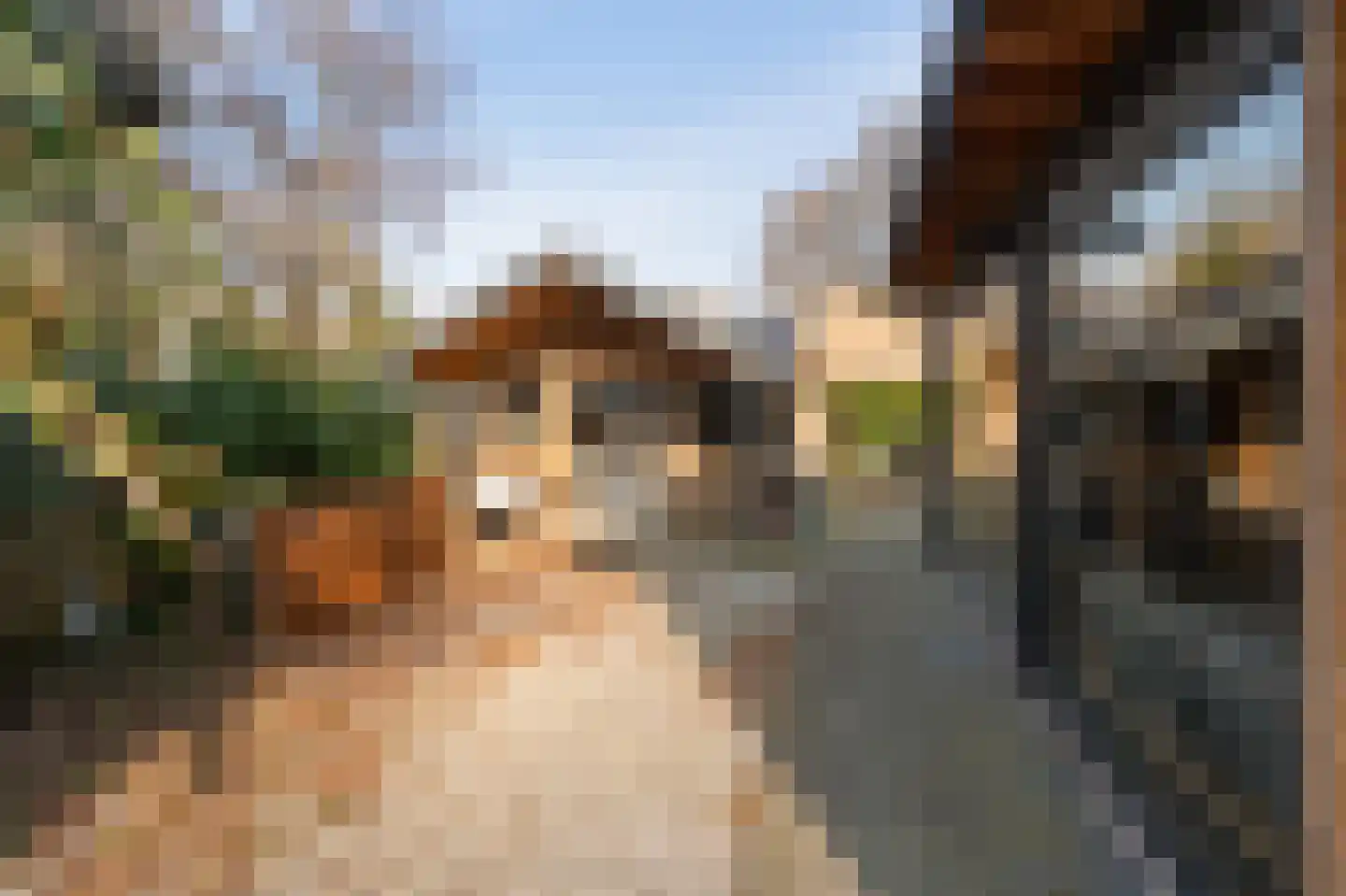 Donaustraat 19 Emmeloord thumbnail 4