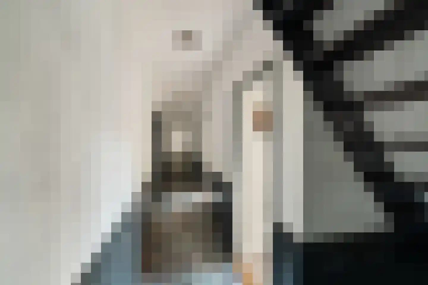 Donaustraat 19 Emmeloord thumbnail 40
