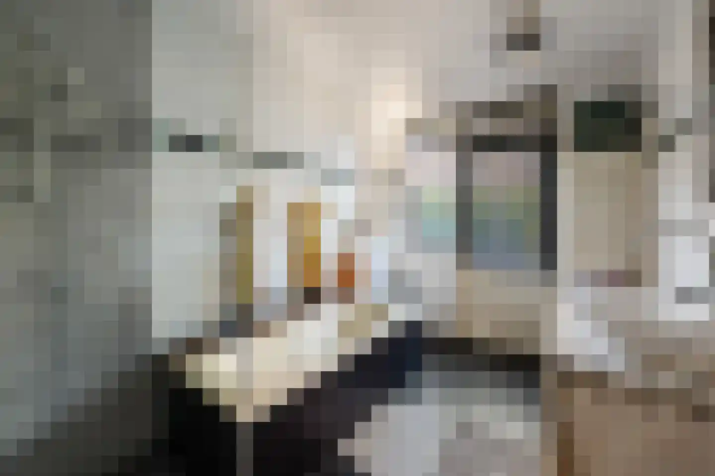 Donaustraat 19 Emmeloord thumbnail 44