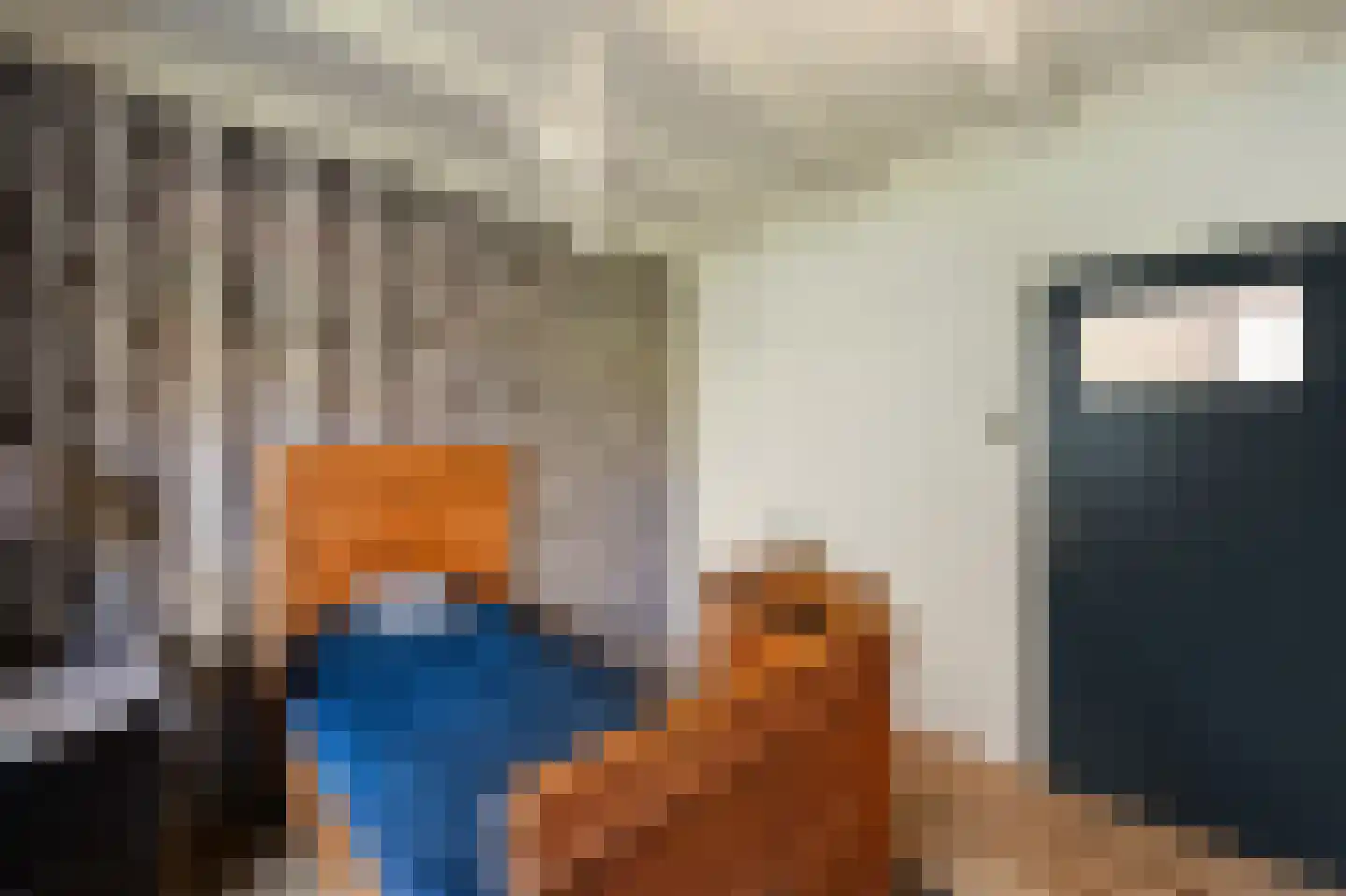 Donaustraat 19 Emmeloord thumbnail 46