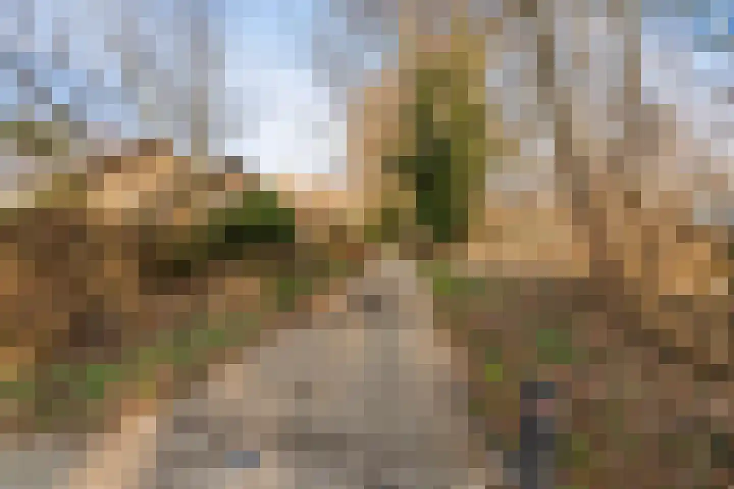 Donaustraat 19 Emmeloord thumbnail 8